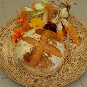 Pane Pugliese